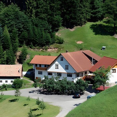 Holderstanzenhof Apartman Bad Peterstal-Griesbach Kültér fotó